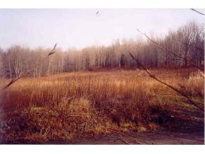 111 Letter S Hill Road Berkshire, NY 13736 - Photo 2 of 2