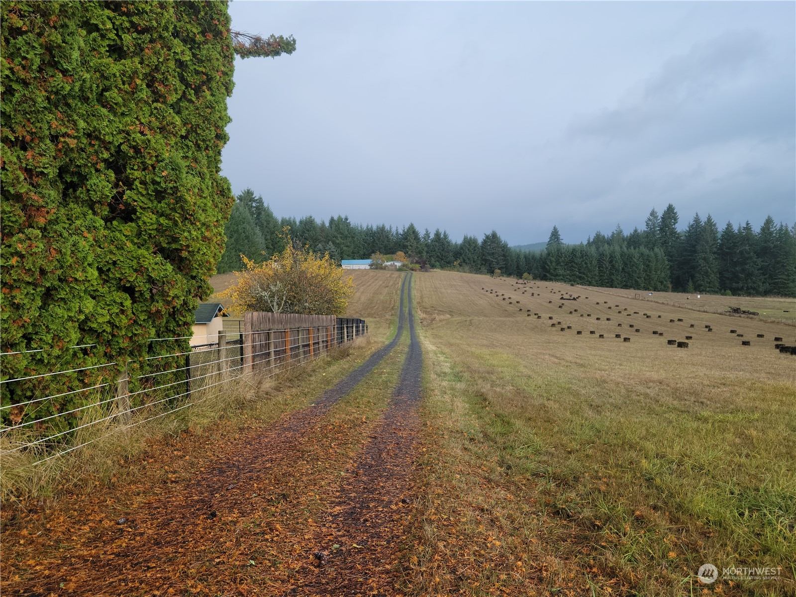 362 Jones Road Winlock, WA 98596 - Photo 2 of 31