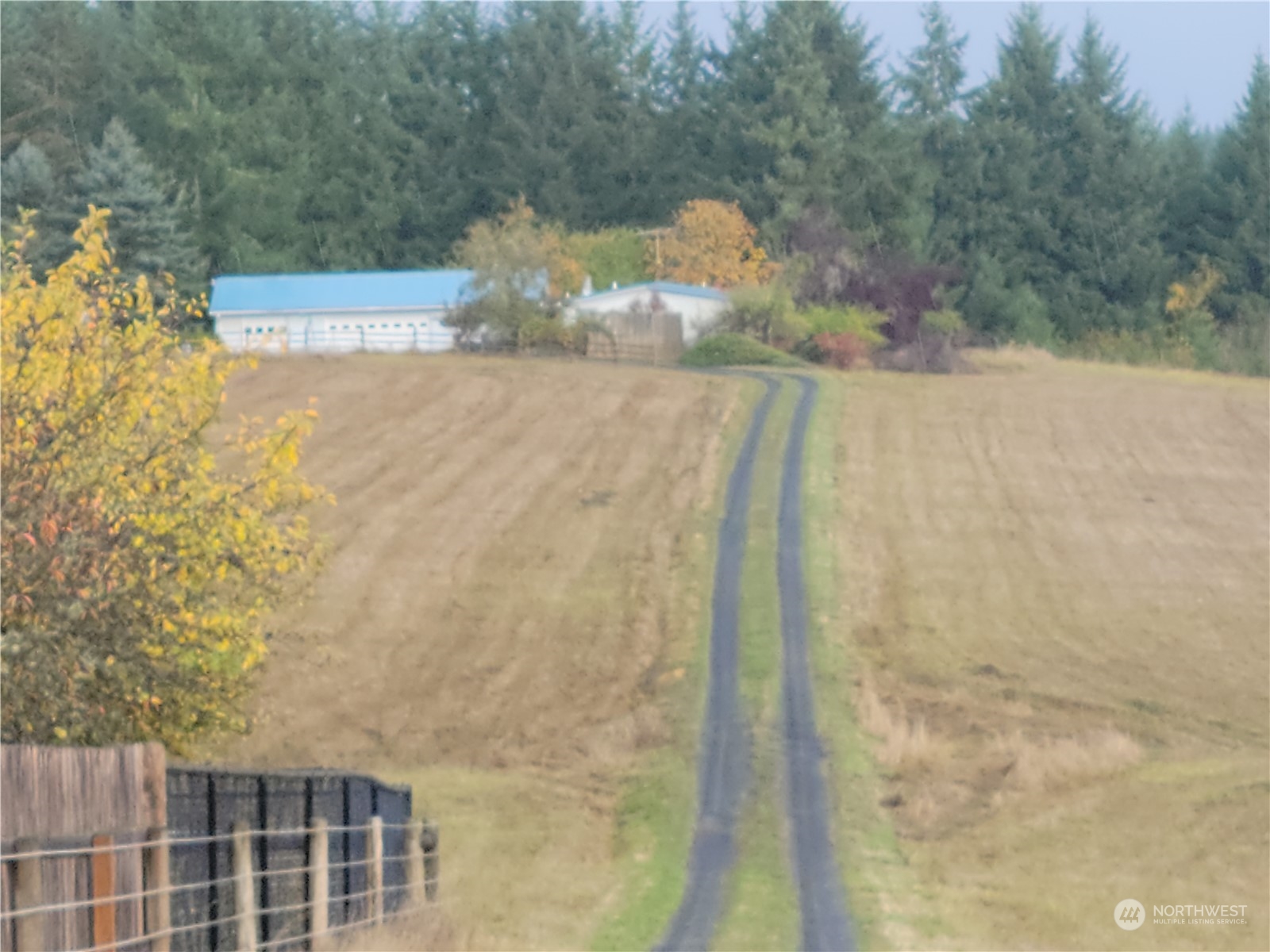 362 Jones Road Winlock, WA 98596 - Photo 3 of 31 a view of a pathway both side of house
