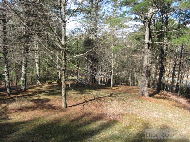 4908 Castle Ford Road Boone, NC 28607 - Photo 13 of 32 Gallery Image 13