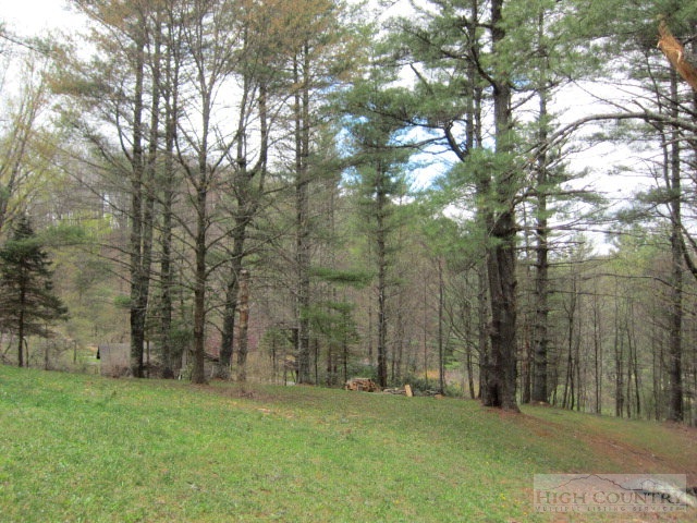 4908 Castle Ford Road Boone, NC 28607 - Photo 21 of 32 Gallery Image 21