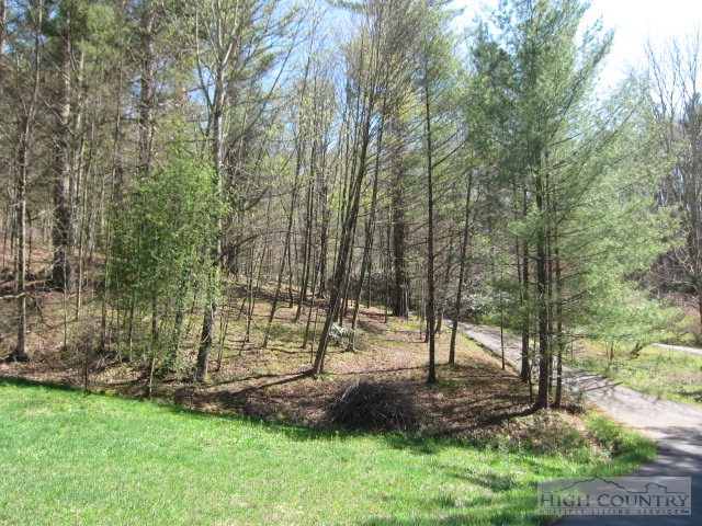 4908 Castle Ford Road Boone, NC 28607 - Photo 26 of 32 Gallery Image 26