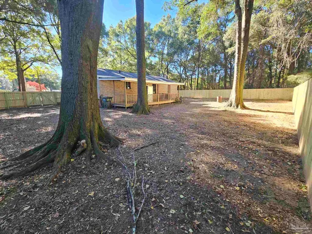 a view of a yard with plants and large trees