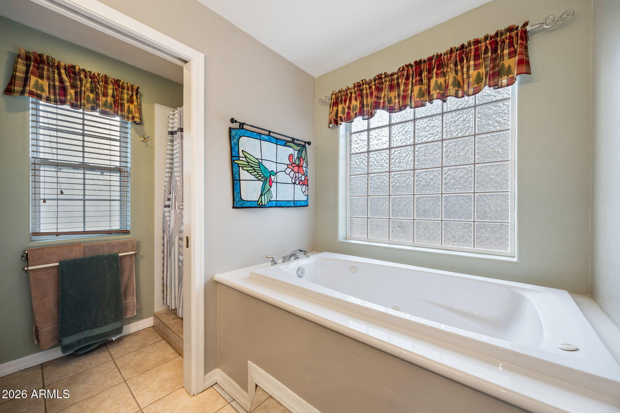 2236 Cross Country Road Overgaard, AZ 85933 - Photo 21 of 59 a bathroom with a bathtub and a shower