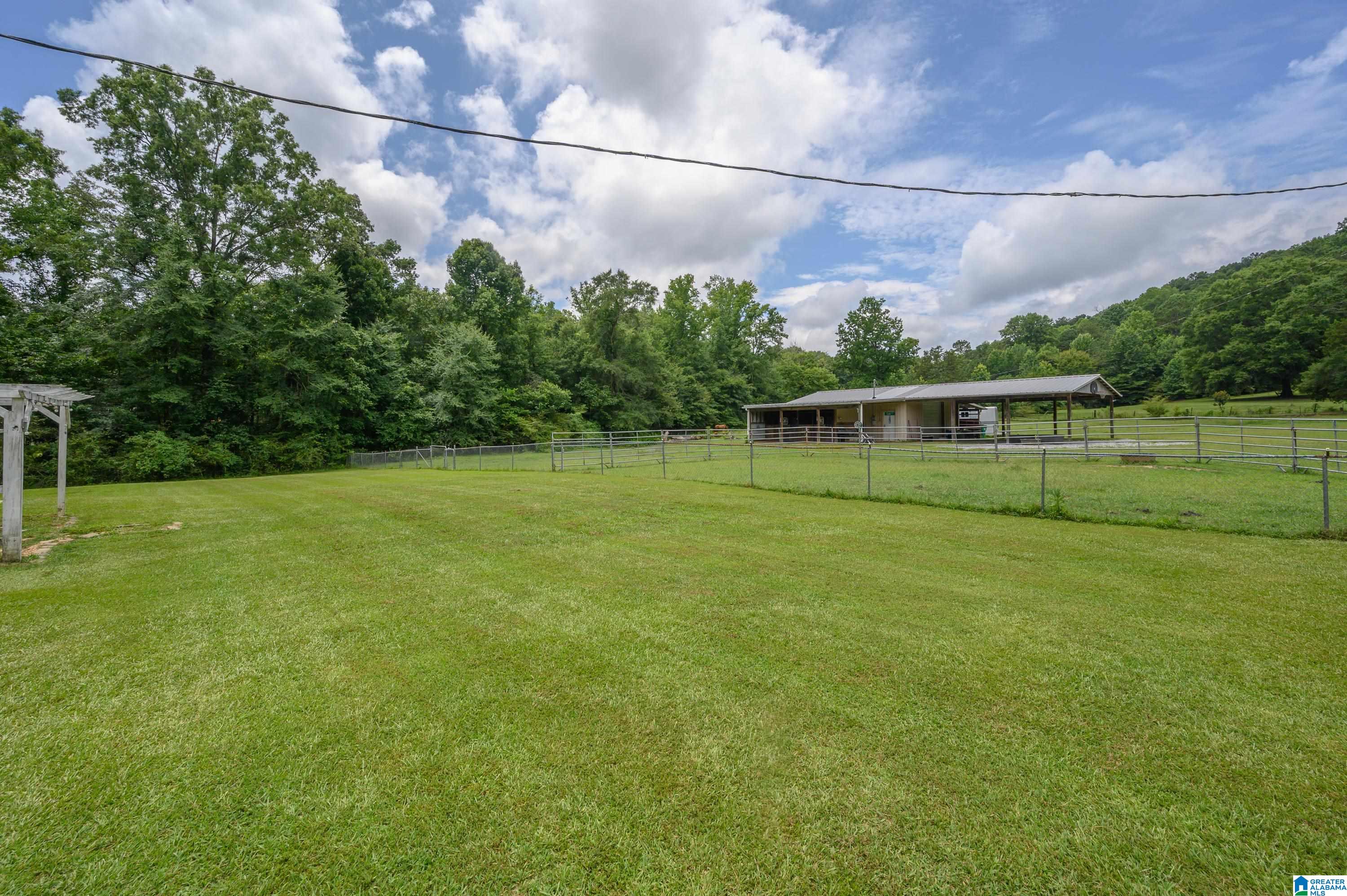 125 Homebrew Knob Ragland, AL 35131 - Photo 37 of 81 Gallery Image 37