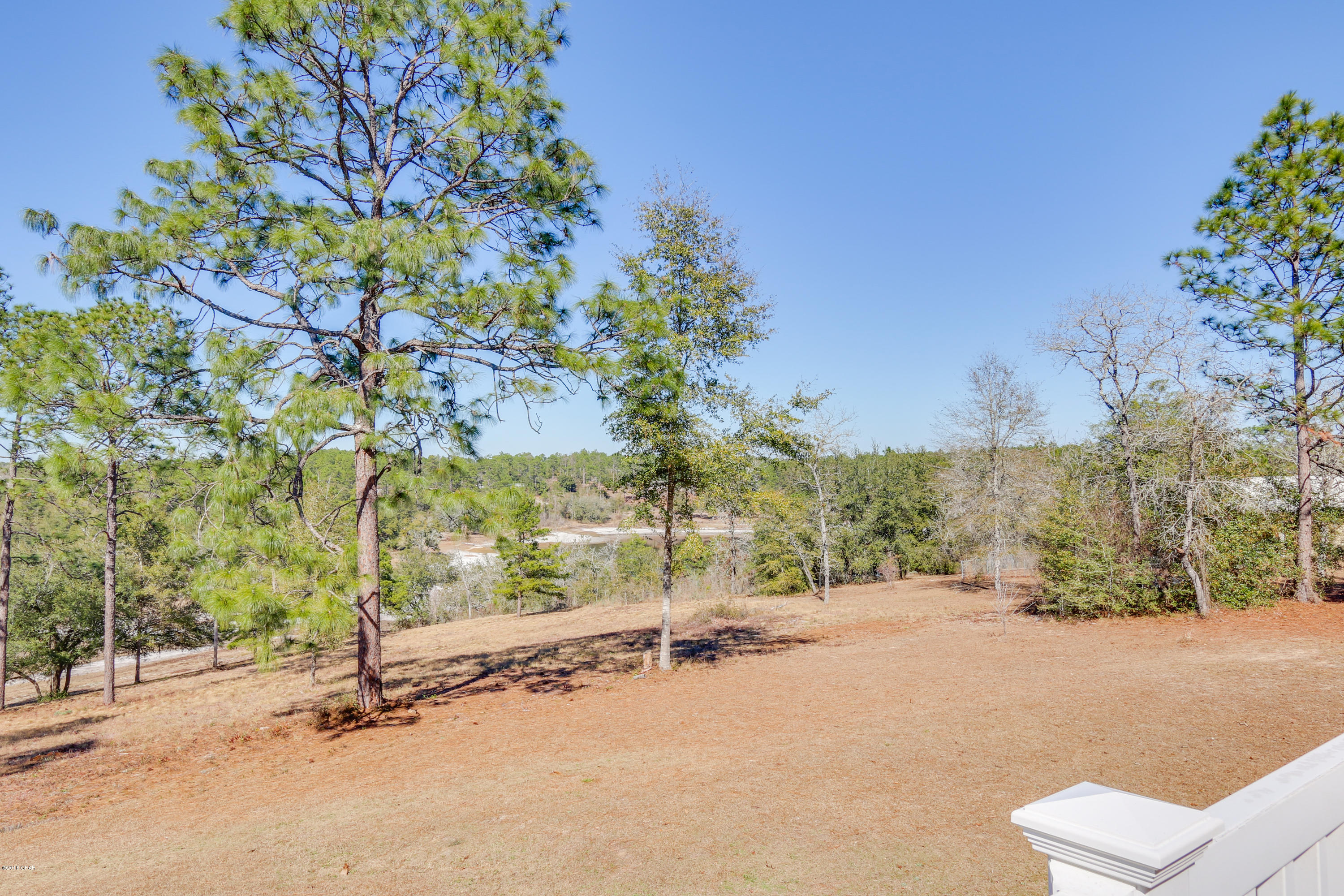 4974 Grassy Pond Road Chipley, FL 32428 - Photo 9 of 29 Gallery Image 9