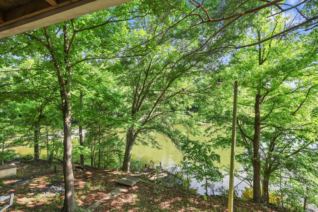 1133 Jets Landing Road Abbeville, SC 29620 - Photo 38 of 51 VIEW FROM DECK OF MOBILE HOME