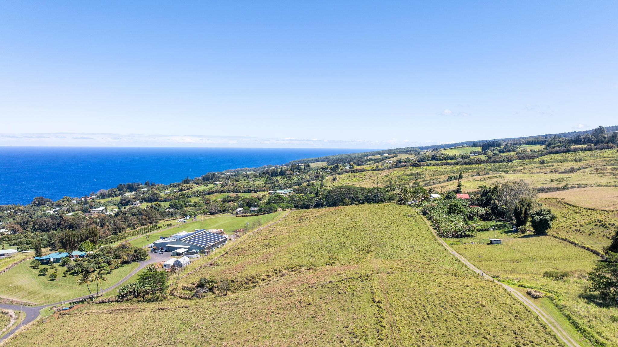 36-239 Manowaiopae Homestead Road Laupahoehoe, HI 96764 - Photo 15 of 29 a view of an ocean view