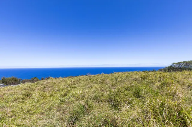 a view of big yard with an outdoor space