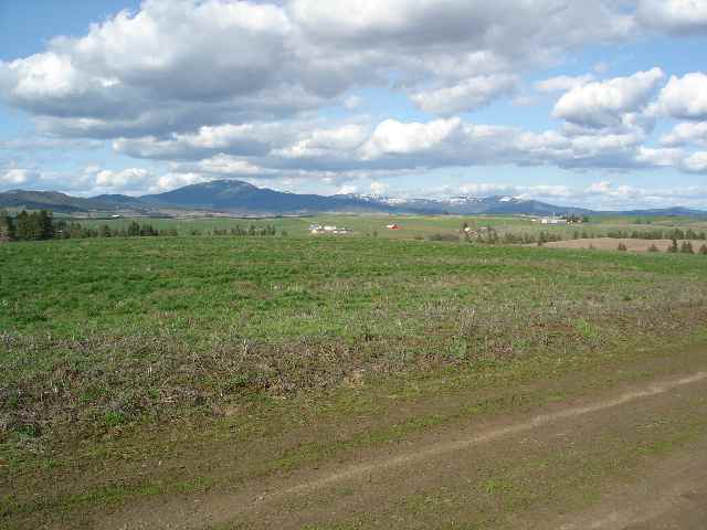 0 East Wright Road Rockford, WA 99030 - Photo 1 of 9
