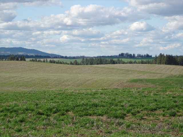 0 East Wright Road Rockford, WA 99030 - Photo 3 of 9