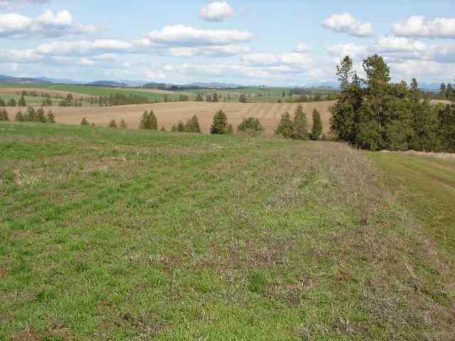 0 East Wright Road Rockford, WA 99030 - Photo 4 of 9