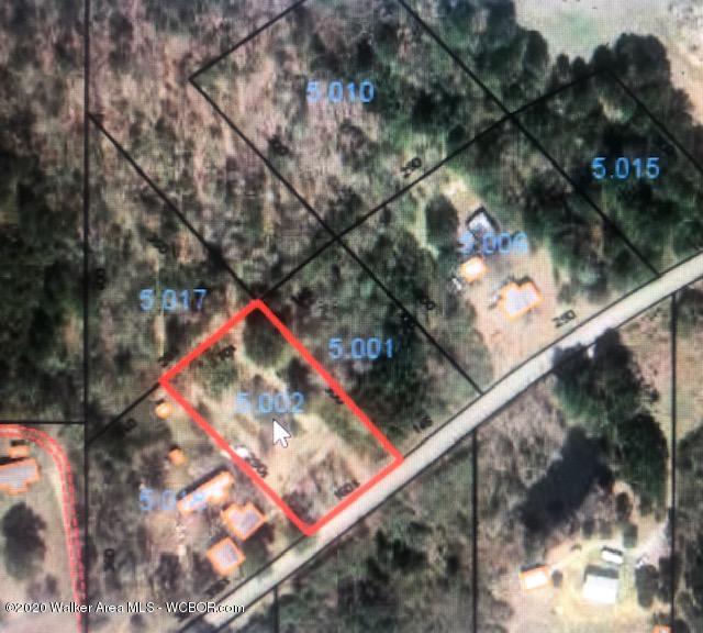 Rose Road Nauvoo, AL 35578 - Photo 10 of 12 Gallery Image 10