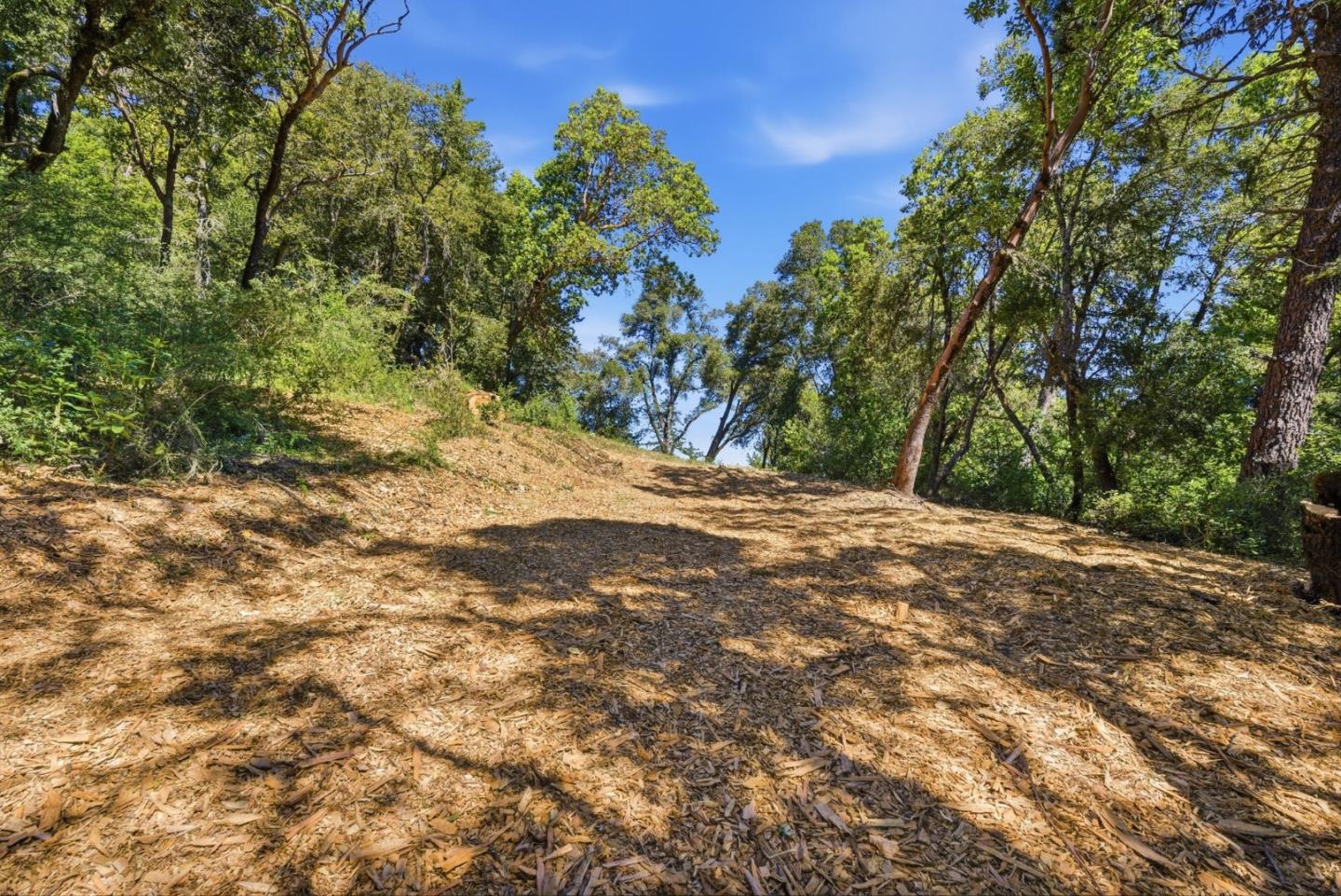0 Page Mill Road Redwood City, CA 94062 - Photo 15 of 37