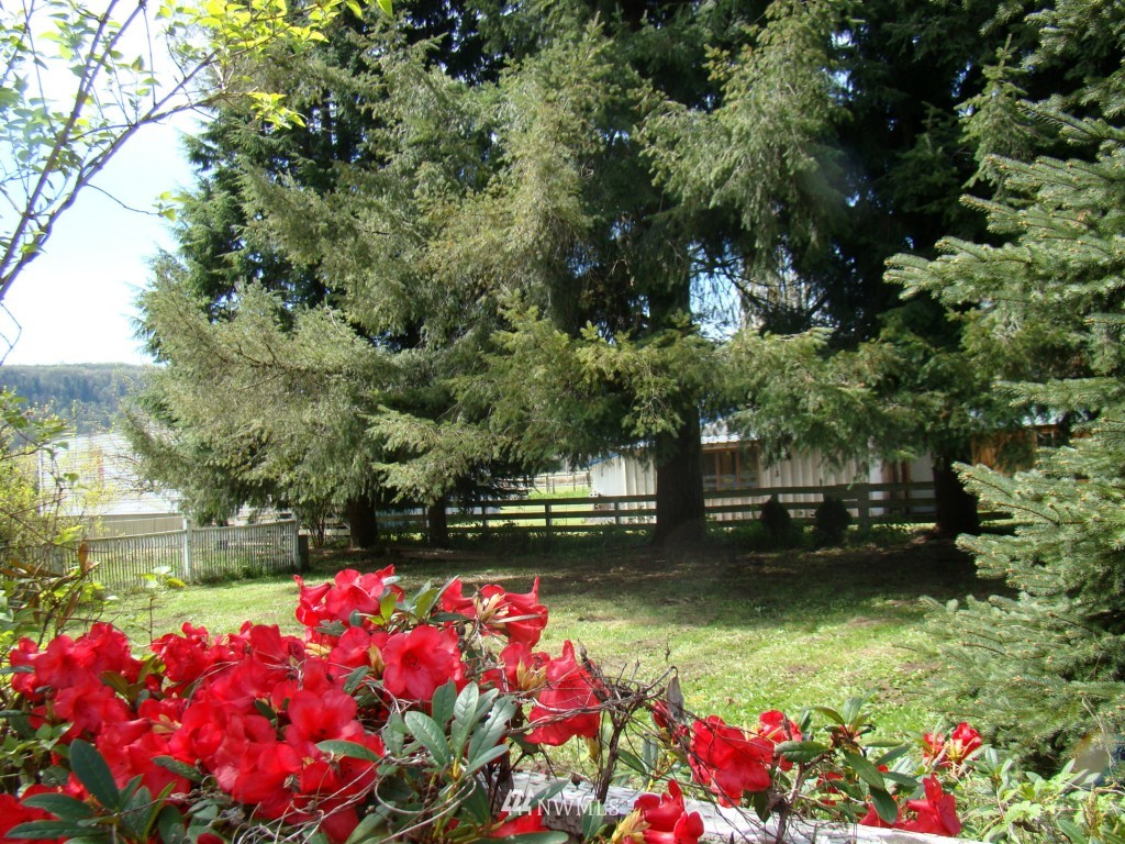 166 Aldrich Road Mossyrock, WA 98564 - Photo 14 of 15 Gallery Image 14