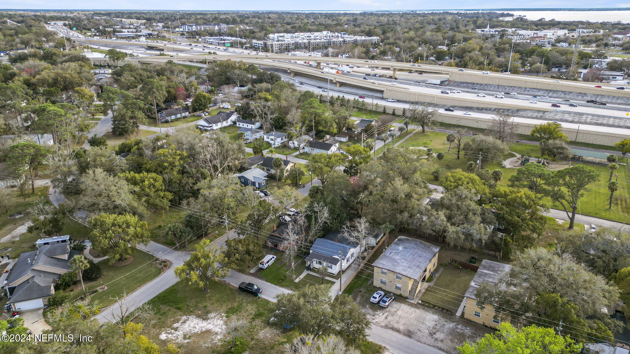 2038 Reed Avenue Jacksonville, FL 32207 - Photo 42 of 43 an aerial view of residential houses with outdoor space and trees
