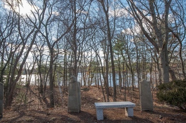 9 Broadway, Unit 217 Saugus, MA 01906 - Photo 4 of 18 a view of a backyard with large trees and plants