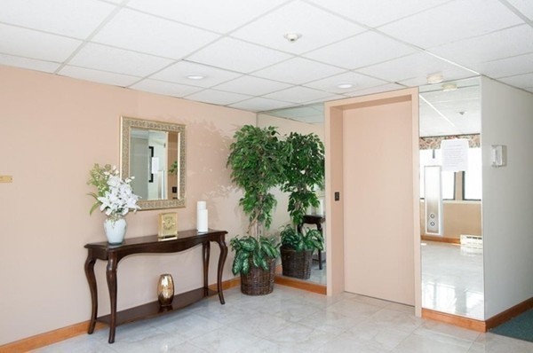 9 Broadway, Unit 217 Saugus, MA 01906 - Photo 6 of 18 a room with lot of flower plants
