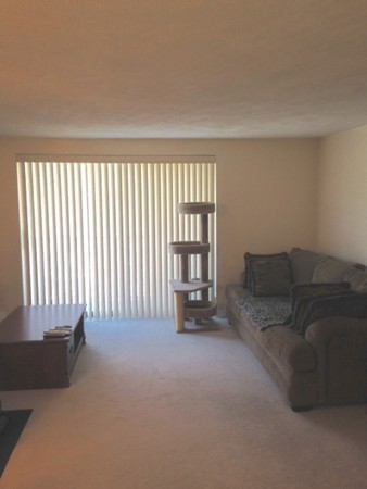 9 Broadway, Unit 217 Saugus, MA 01906 - Photo 8 of 18 a living room with furniture and a large window