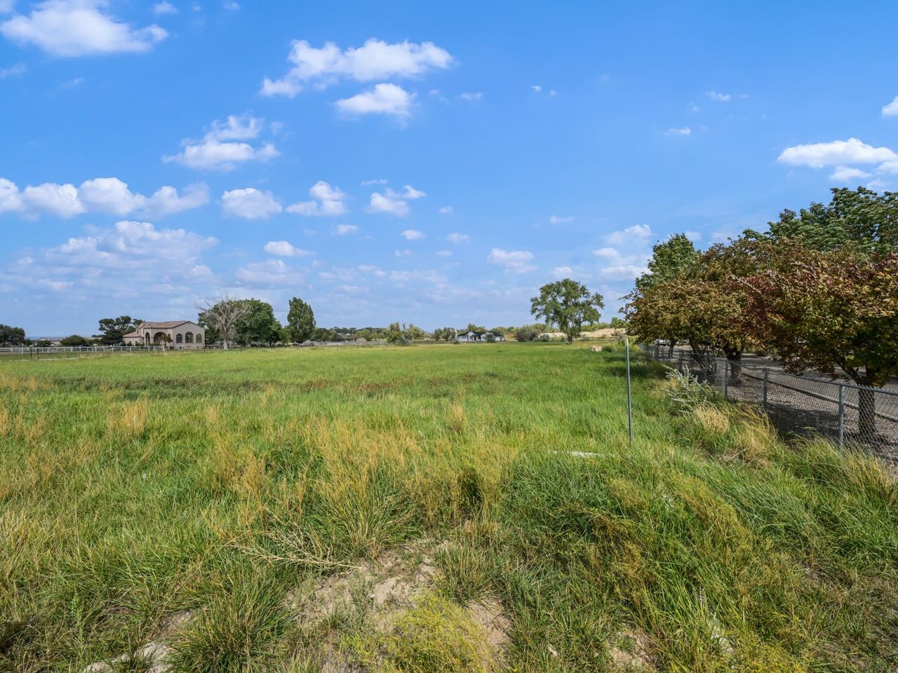 2324 I Road Grand Junction, CO 81505 - Photo 9 of 11 a view of a garden from a yard