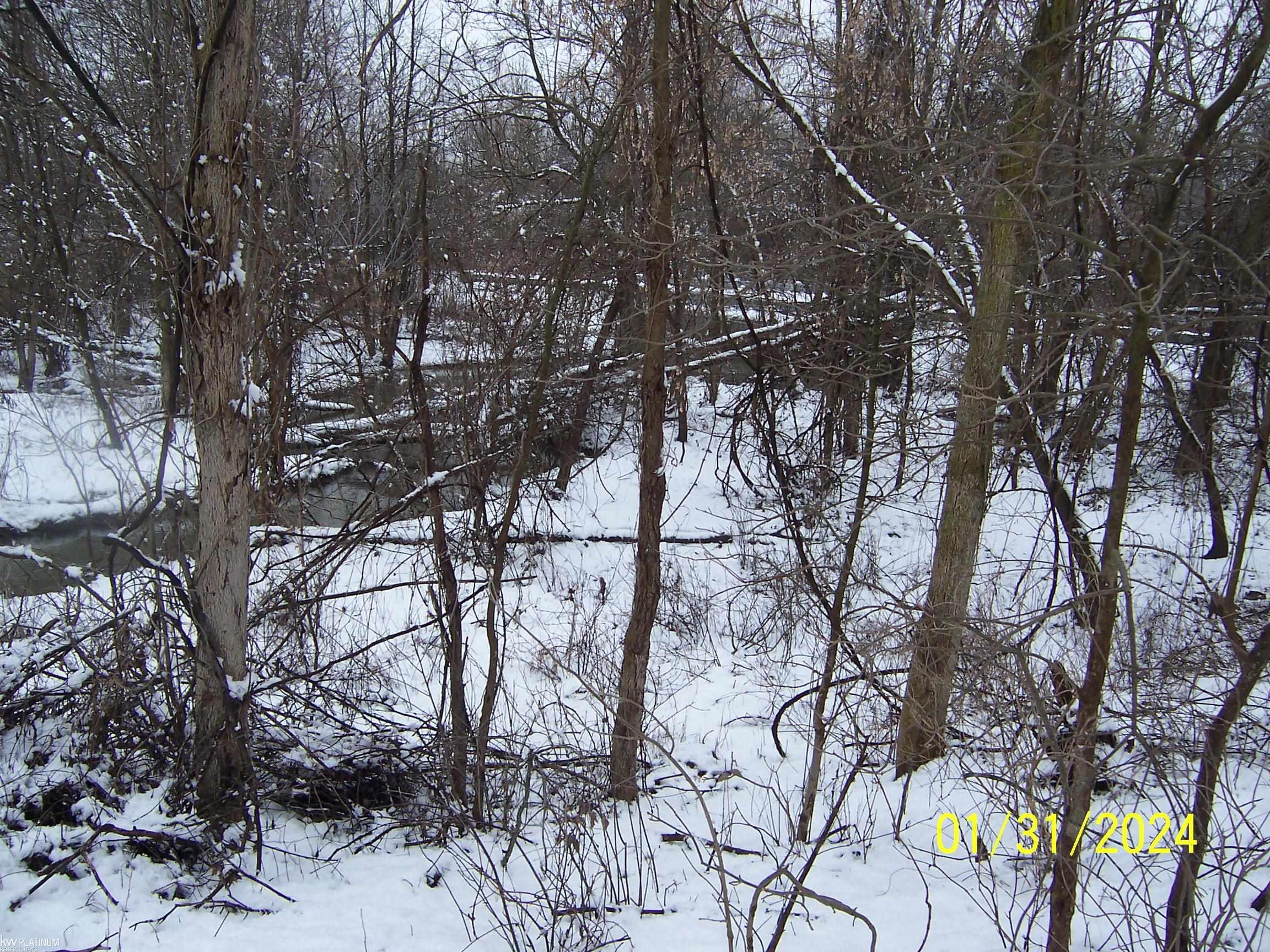 2783 Oneil Road Goodells, MI 48027 - Photo 22 of 22 50132470-79490c13-d50f-4a96-aede-1531b18cee0a.JPG
