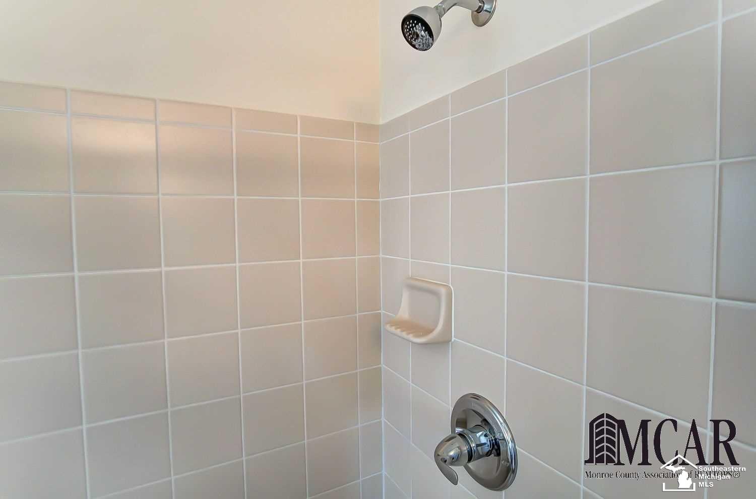 804 Golf Ridge Circle Dundee, MI 48131 - Photo 24 of 37 Master Bath View 2