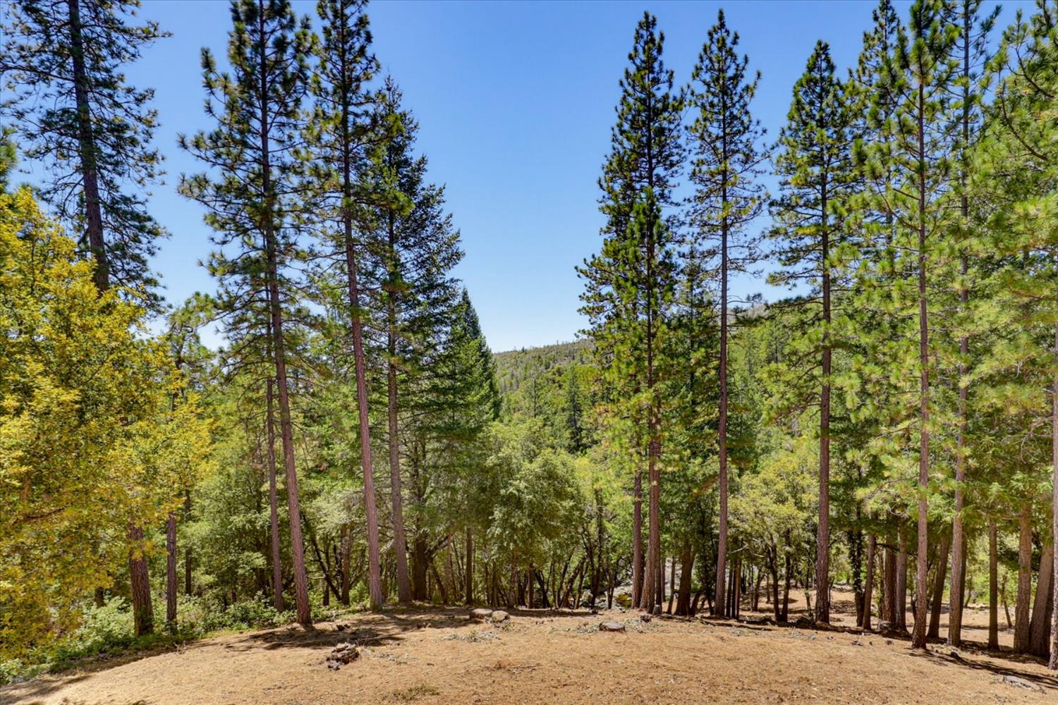 16300 Kiwi Road Grass Valley, CA 95949 - Photo 66 of 88 Gallery Image 66