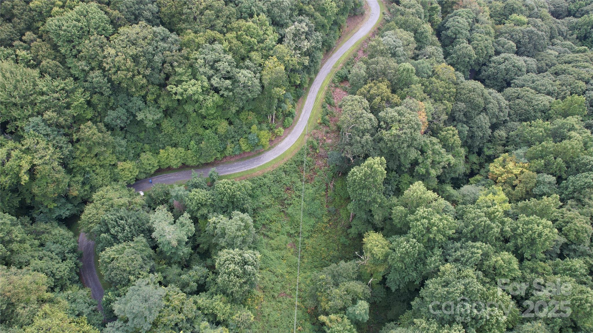 0 Running Bear Road Hot Springs, NC 28743 - Photo 2 of 7 Gallery Image 2