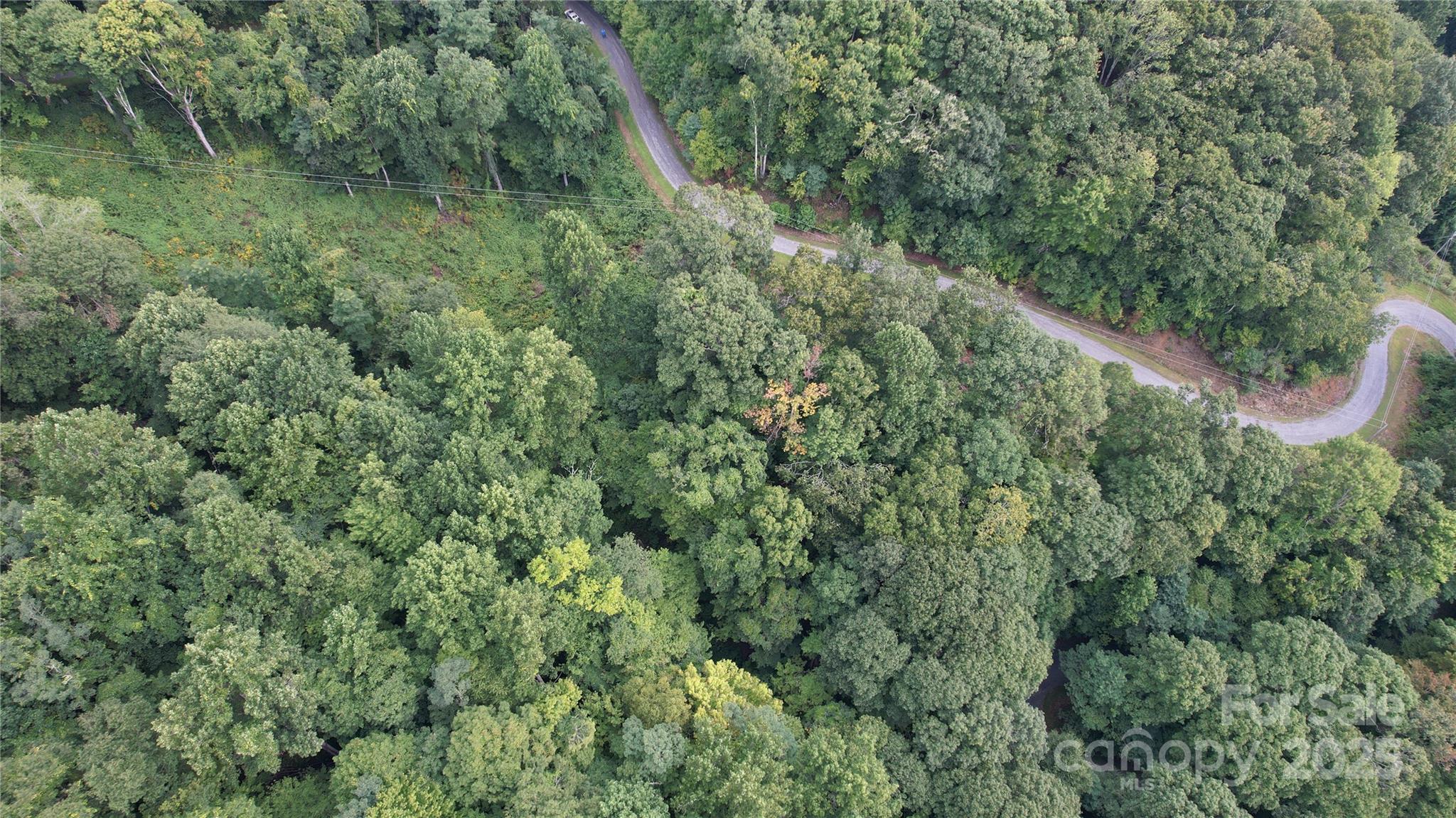 0 Running Bear Road Hot Springs, NC 28743 - Photo 3 of 7 Gallery Image 3