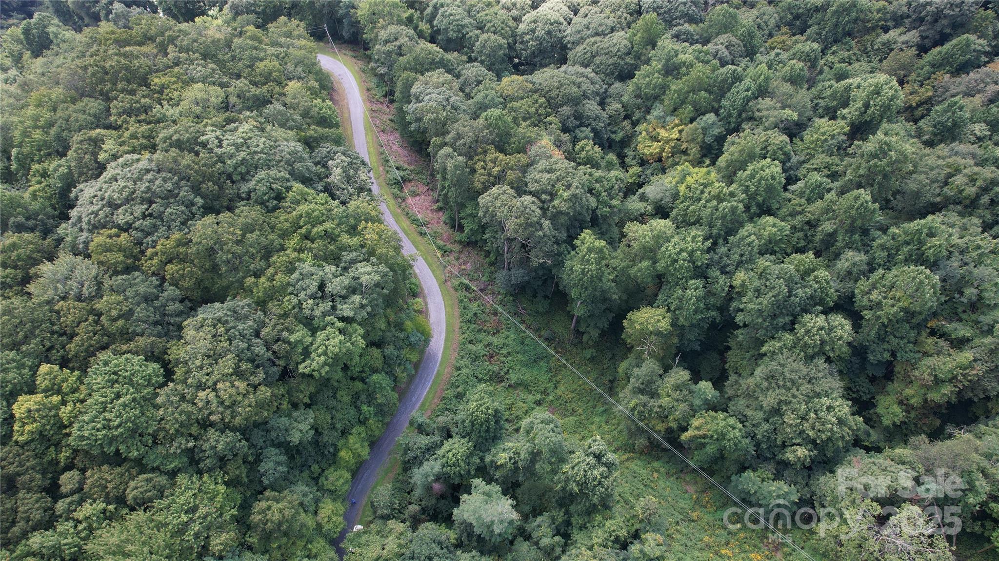 0 Running Bear Road Hot Springs, NC 28743 - Photo 4 of 7 Gallery Image 4