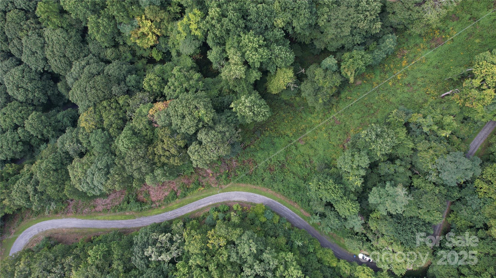 0 Running Bear Road Hot Springs, NC 28743 - Photo 6 of 7 Gallery Image 6