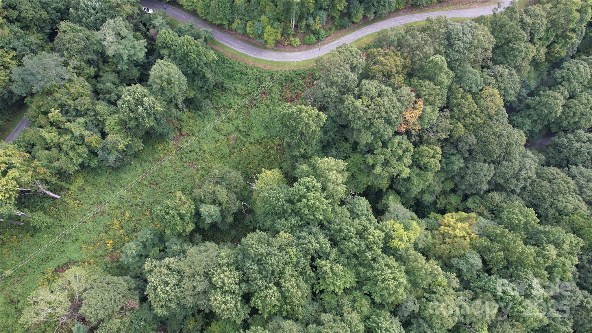0 Running Bear Road Hot Springs, NC 28743 - Photo 7 of 7 Gallery Image 7