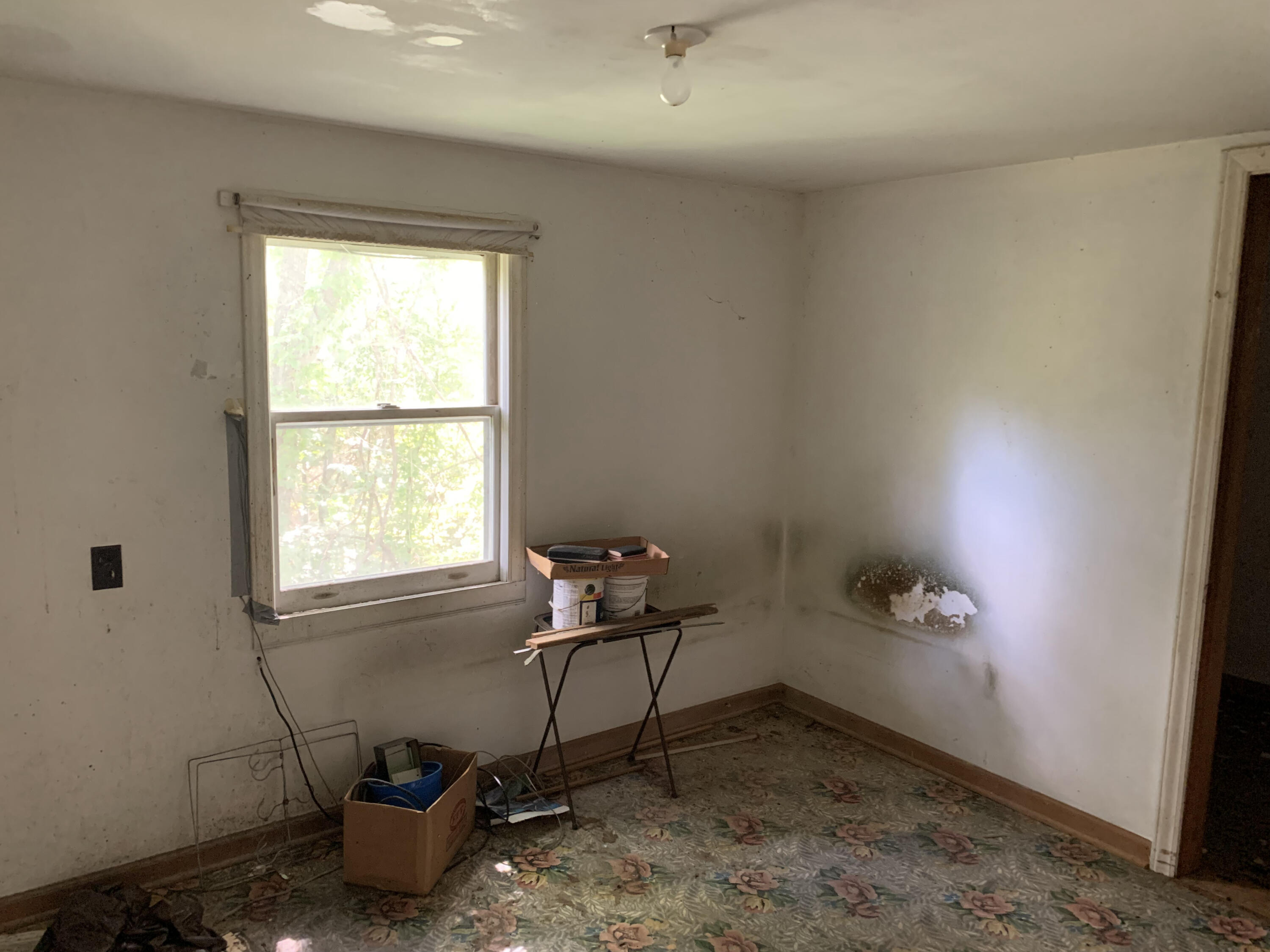 6912 Plank Road Buchanan, VA 24066 - Photo 20 of 26 brupstairs3