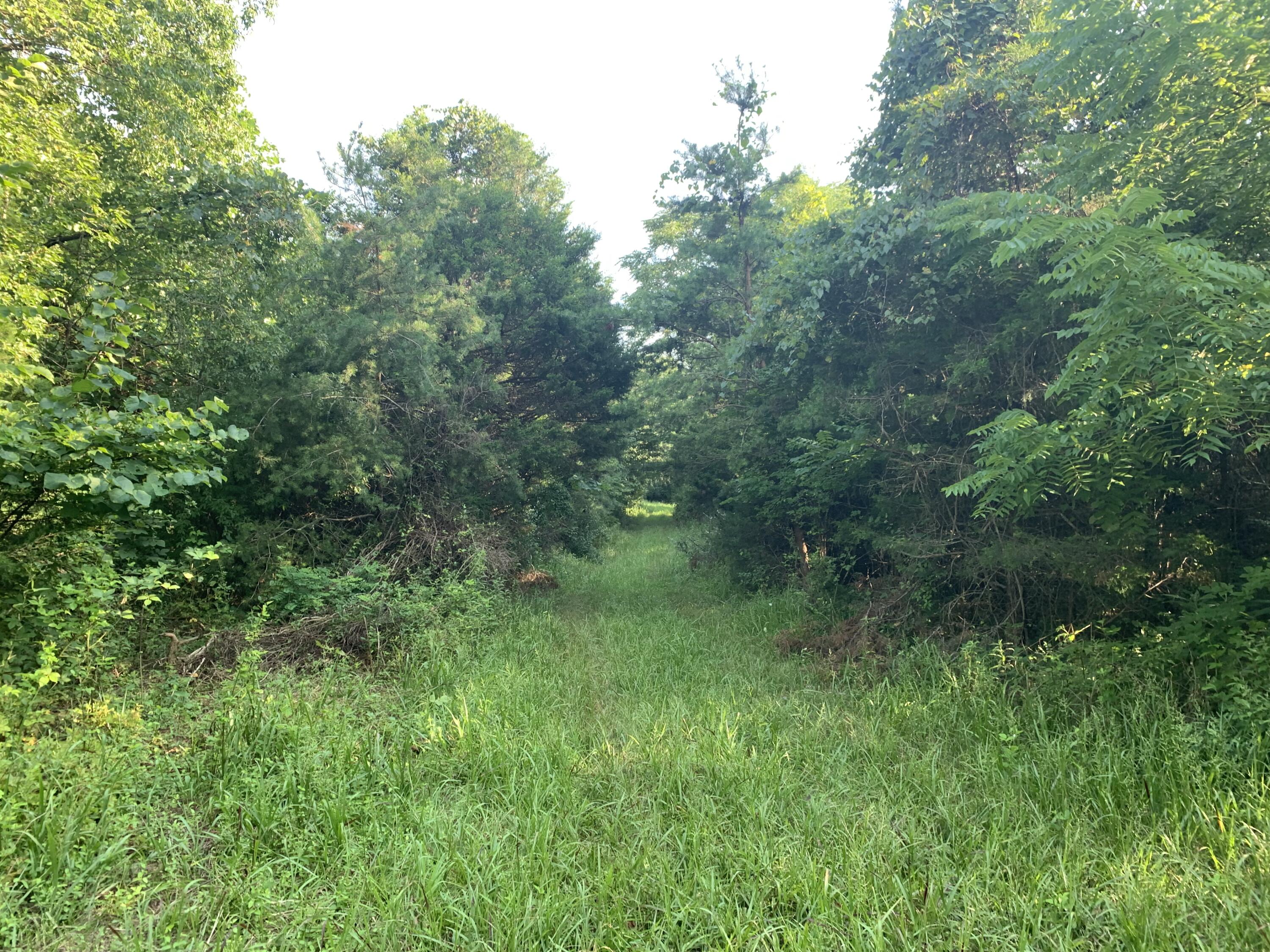 6912 Plank Road Buchanan, VA 24066 - Photo 2 of 26 Land