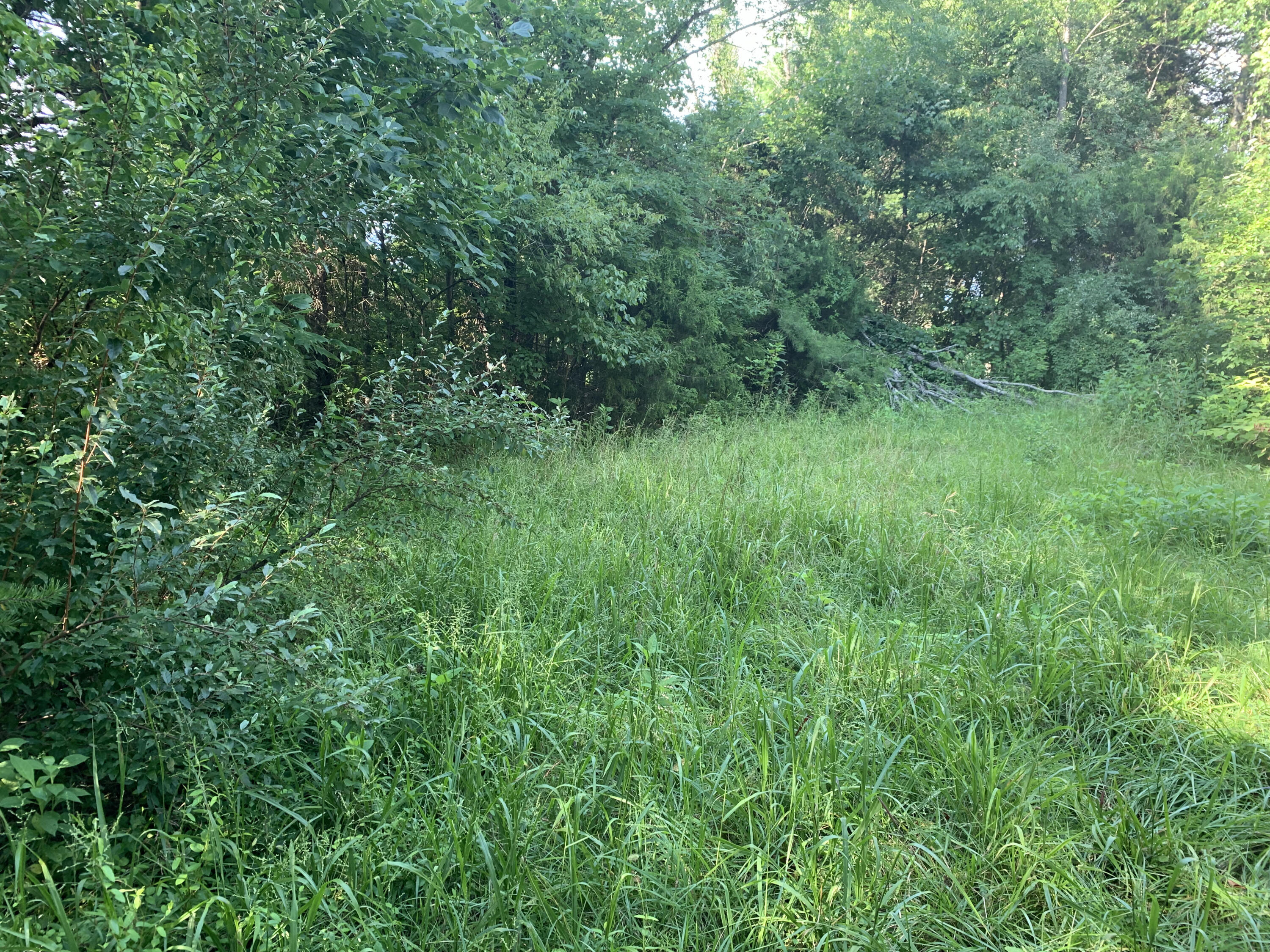 6912 Plank Road Buchanan, VA 24066 - Photo 8 of 26 LAND