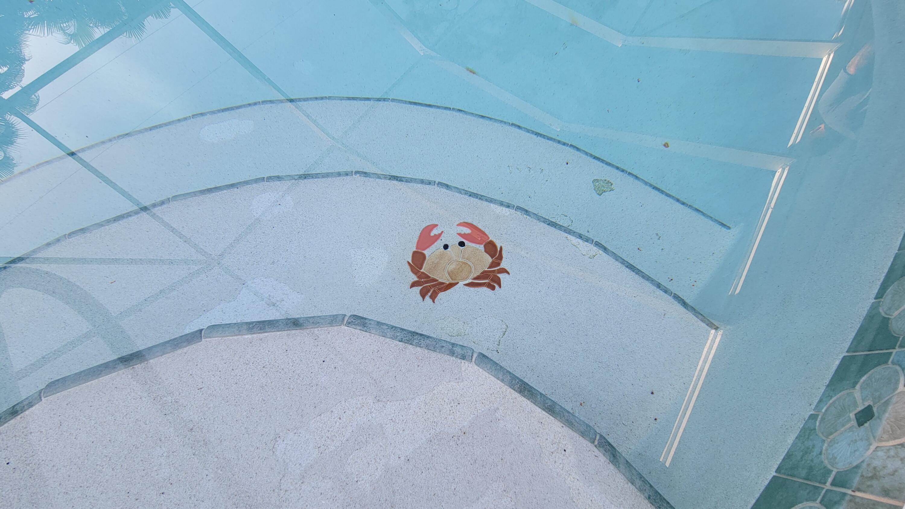 886 Southwest Curtis Street Port St. Lucie, FL 34983 - Photo 51 of 69 Step Down Pool Entry