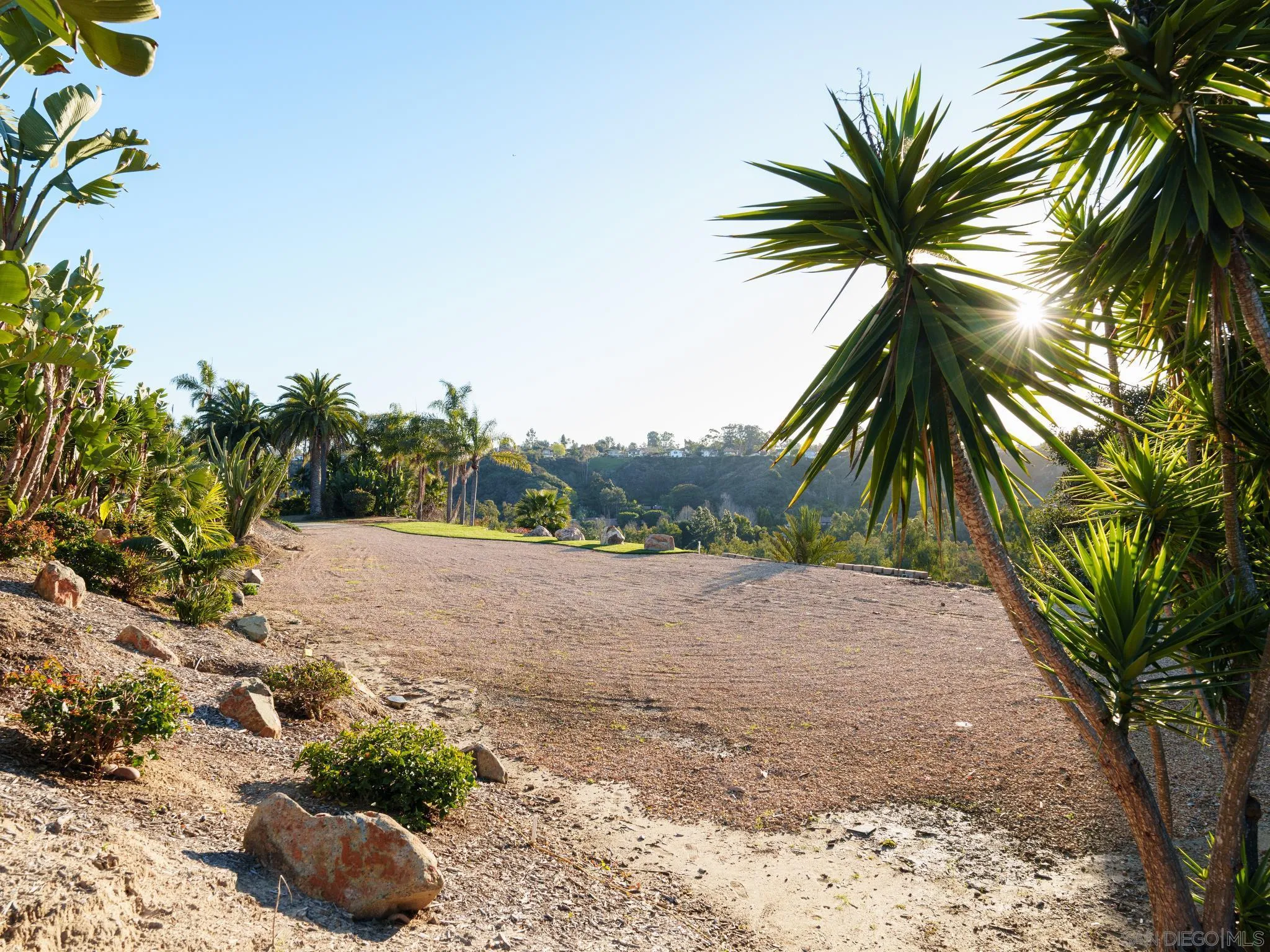 4560 Via Gaviota Rancho Santa Fe, CA 92067 - Photo 25 of 28 a view of outdoor space with palm trees