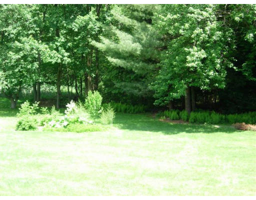 35 Blacksmith Road Wilbraham, MA 01095 - Photo 6 of 18 a view of backyard with green space
