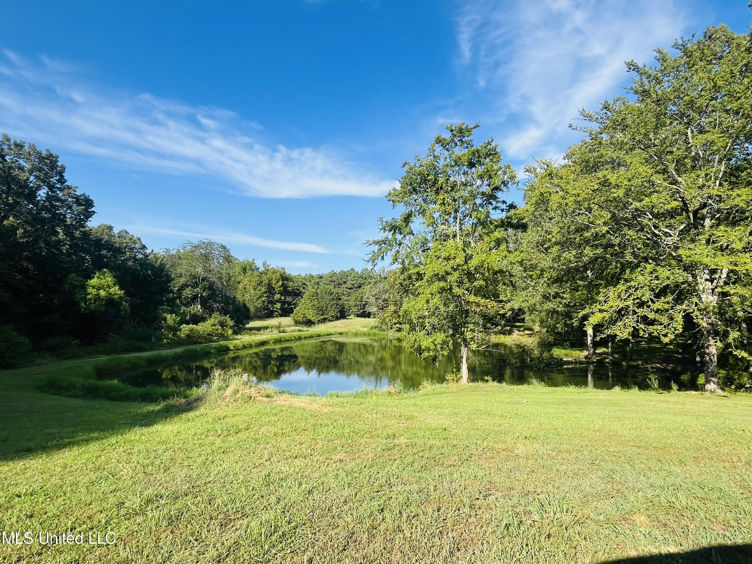 251 Callicott Drive Coldwater, MS 38618 - Photo 27 of 38 IMG_3042