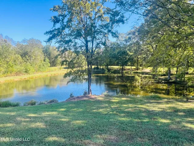 $499,900 | 251 Callicott Drive, Coldwater, MS 38618