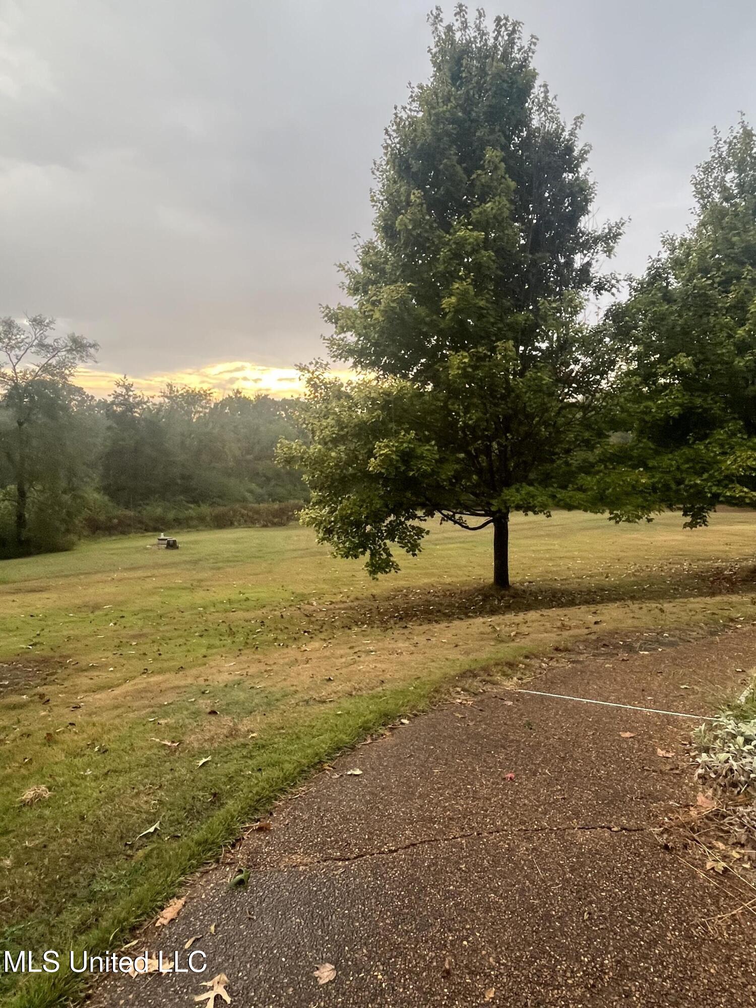 251 Callicott Drive Coldwater, MS 38618 - Photo 35 of 38 IMG_4229