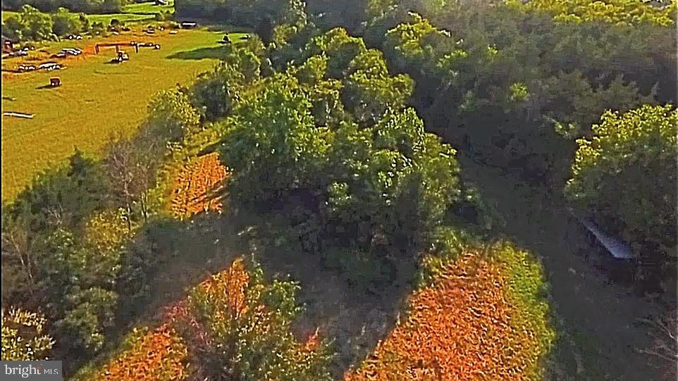 20066 Cedar Grove Road Culpeper, VA 22701 - Photo 19 of 20 Gallery Image 19