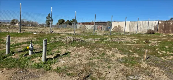 a view of a garden