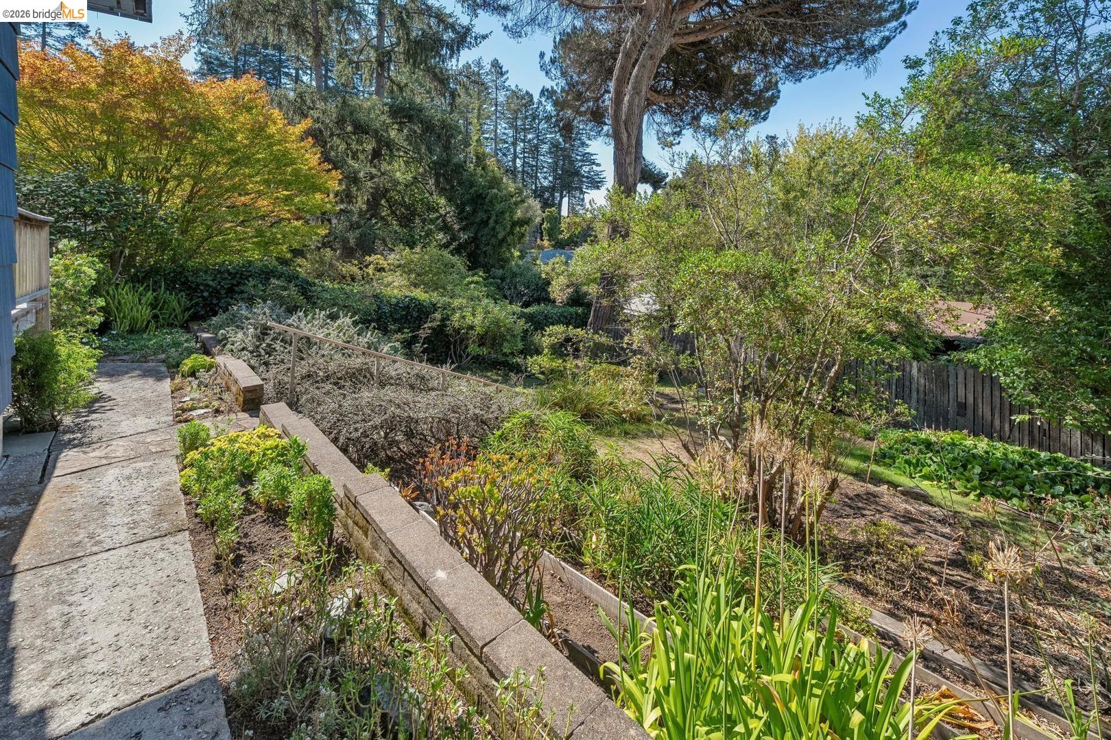 155 Avenida Drive Berkeley, CA 94708 - Photo 60 of 86 Tiered landscaping with mature trees, established plantings, and concrete retaining walls