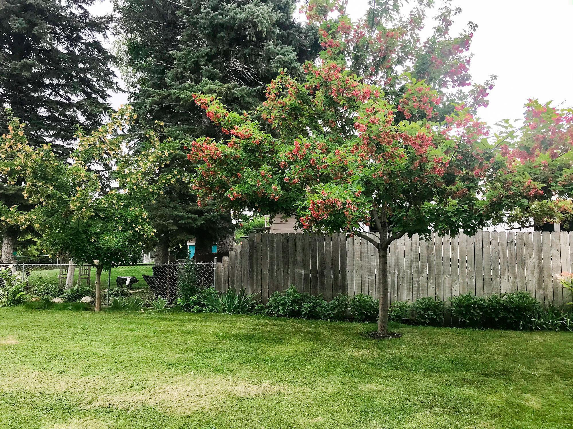 515 3rd Street Southeast Valley City, ND 58072 - Photo 70 of 70