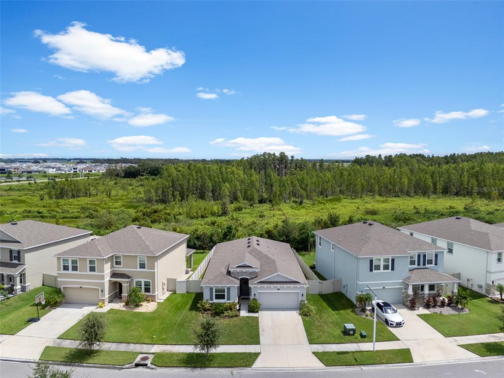 8635 Bower Bass Circle Wesley Chapel, FL 33545 - Photo 53 of 60