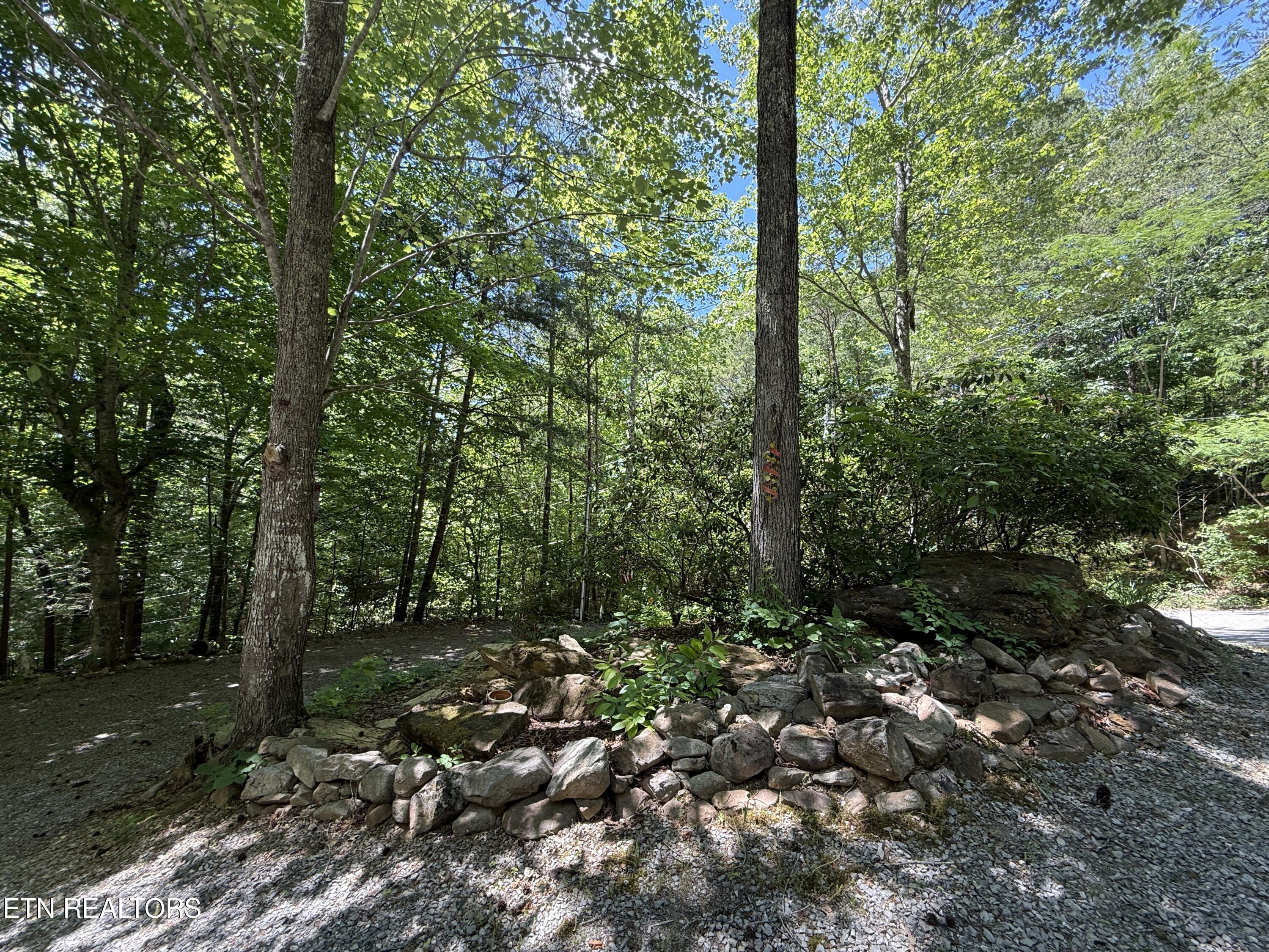 4039 Barb Hollow Road Walland, TN 37886 - Photo 13 of 46 Median
