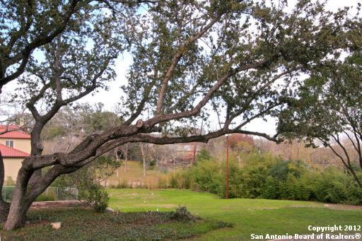 517 Geneseo Road Terrell Hills, TX 78209 - Photo 1 of 1 a view of yard with large trees