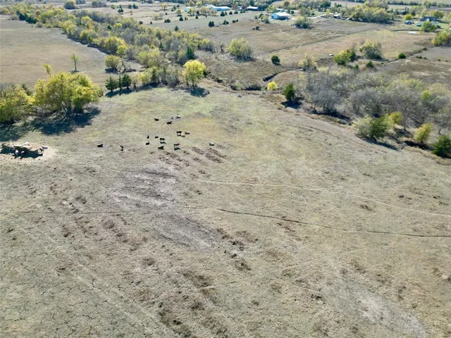 a view of a dry yard with lots of trees