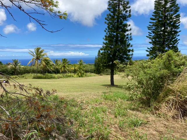 a view of an outdoor space and a yard